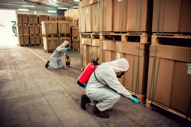 Best Emergency Pest Control  in La Habra, CA