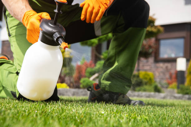Best Mosquito Control Services  in La Habra, CA