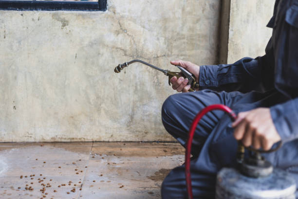 Best Rat Extermination Near Me  in La Habra, CA